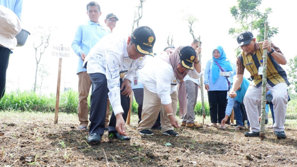 Kementan Dorong Gunungkidul Mandiri Benih Kedelai  