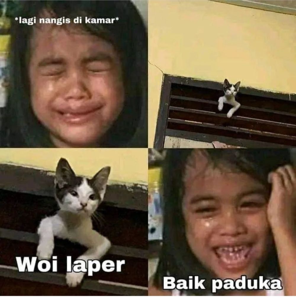 Meme Lucu Nangis Terus Tertawa