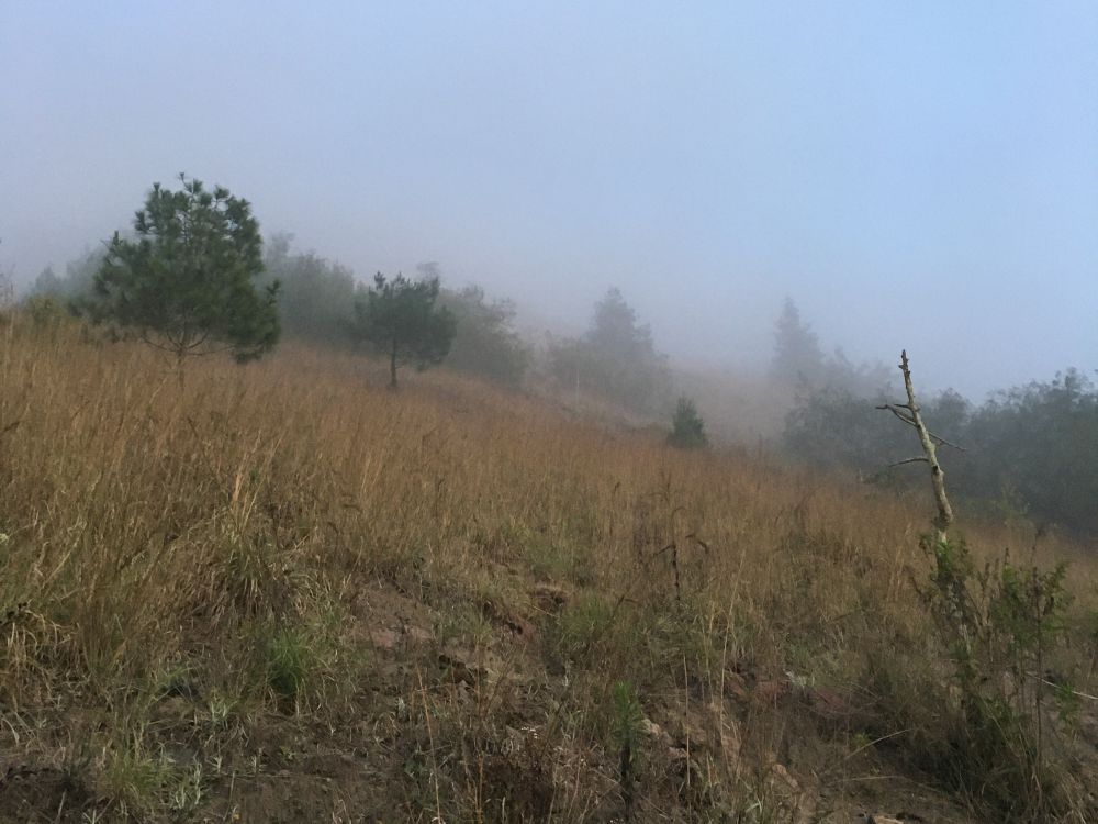 Trik Mendaki Gunung Batur di Bali, biar Dapat Sunrise