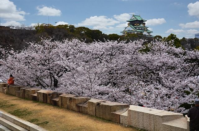 3 Fakta Osaka Castle, Wisata Andalan Jepang saat Musim Semi
