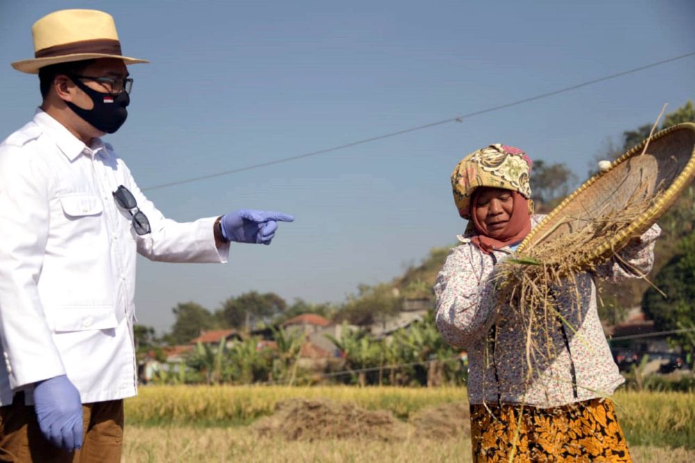 Pemkab Tapin Genjot Produksi Pangan untuk Antisipasi El Nino