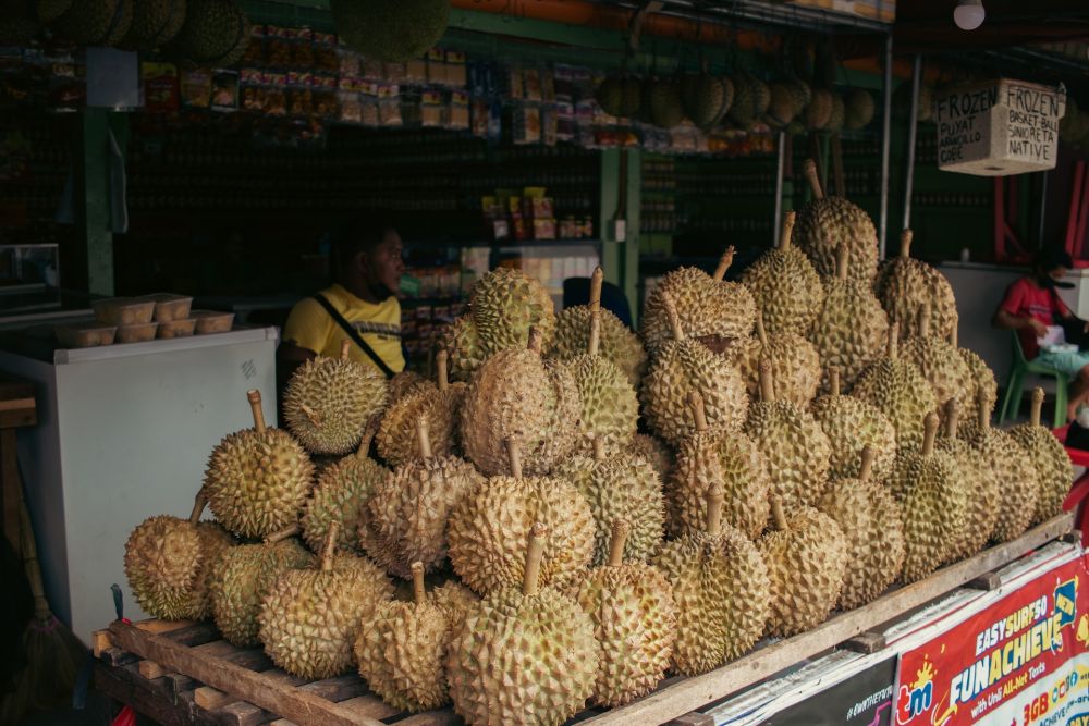 5 Fakta Menarik Durian Musang King Ternyata Punya Pasangan