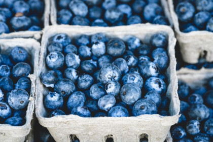 5 Tips Penting saat Memilih Buah Blueberry Manis