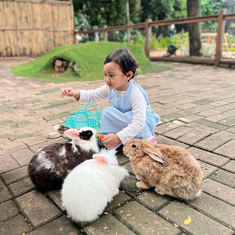Rekomendasi Kebun Binatang Mini di Tangerang, Anak Happy~