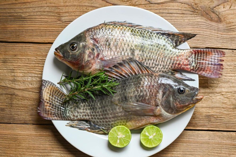 Nutrisi Ikan Ternyata Senjata Ampuh Lawan Stunting