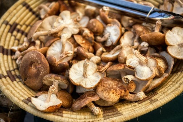 5 Perbedaan Jamur Portobello dan Shiitake, Lebih Sehat Mana?