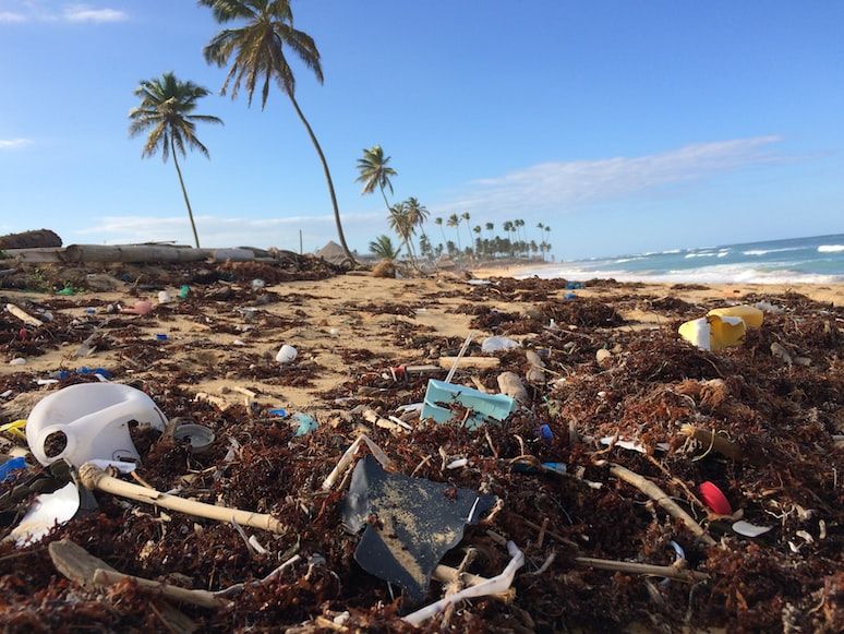 5 Dampak Sampah Plastik jadi Ancaman Lingkungan, Harus Tahu!