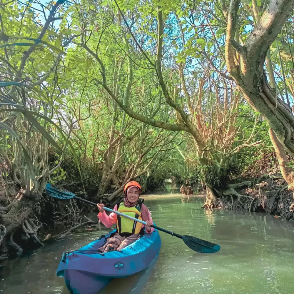 Naik Kano Susuri Hutan Mangrove di Pantai Baros Bantul