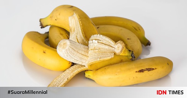 5 Fakta Menarik Pisang, Pohonnya Sebenarnya Bukan Pohon!