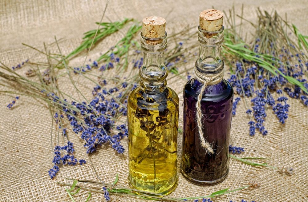 5 Fakta Lavender, Ternyata Banyak Manfaat dan Aroma Menenangkan