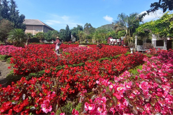 13 Potret Taman Begonia Lembang, Banyak Spot Menarik!