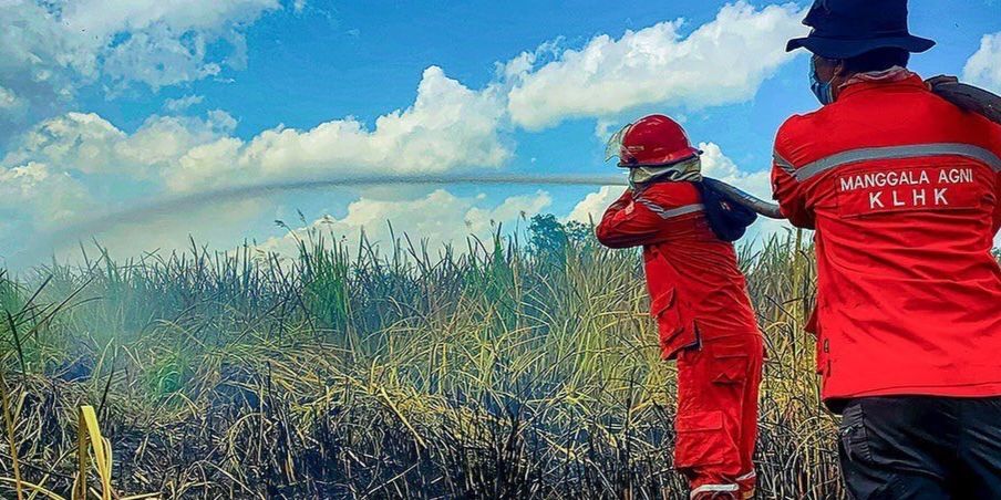 Kebakaran Hutan Diduga Disengaja, Tahura Raden Soerjo Lapor ke Polisi