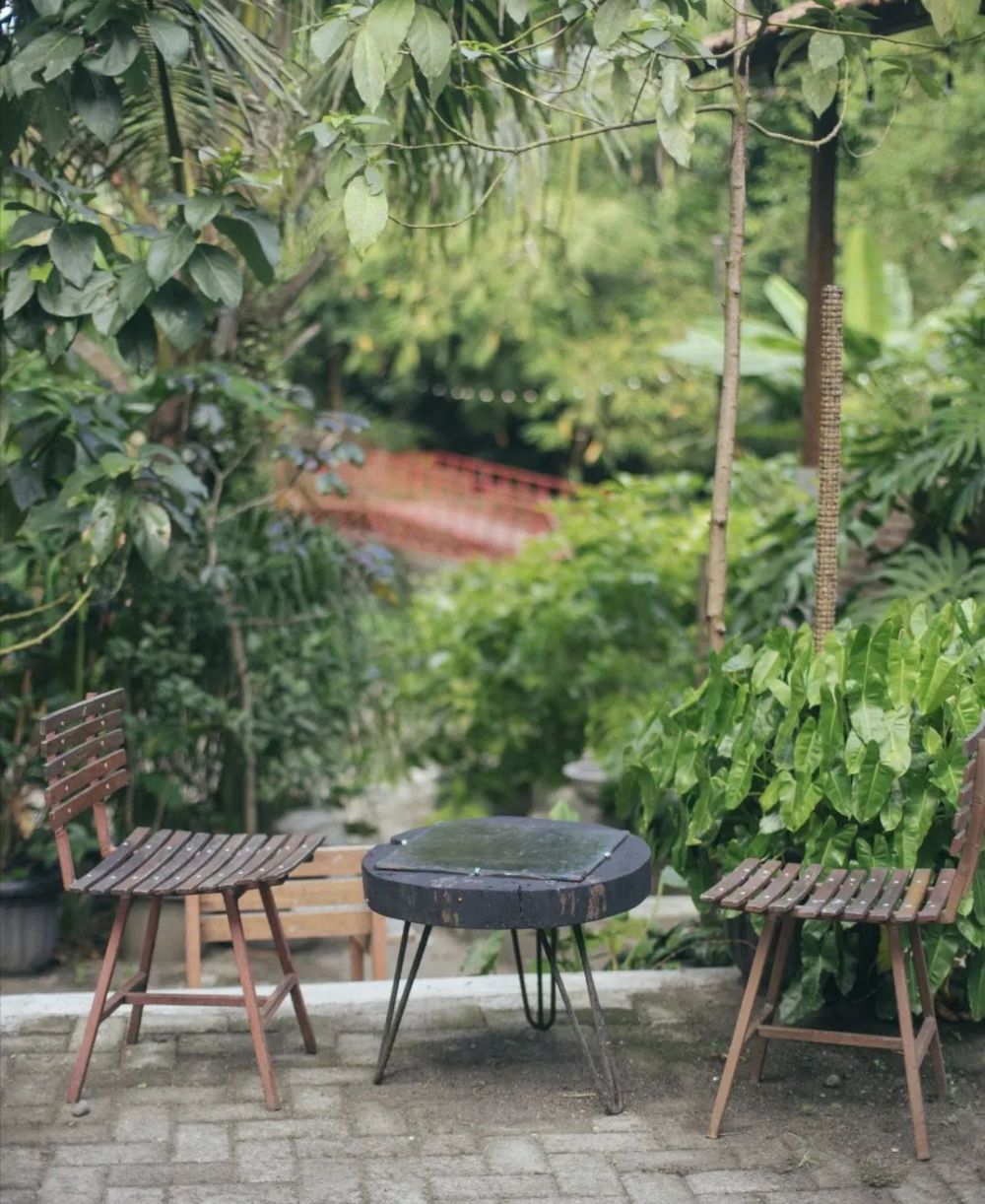 Cari Nagari, Tempat Melamun dan Menikmati Teh di Tengah Hutan Bantul 