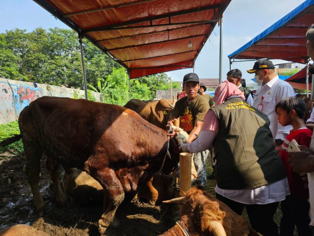 Pemkab Tangerang Sediakan Pemeriksaan Gratis untuk Hewan Kurban