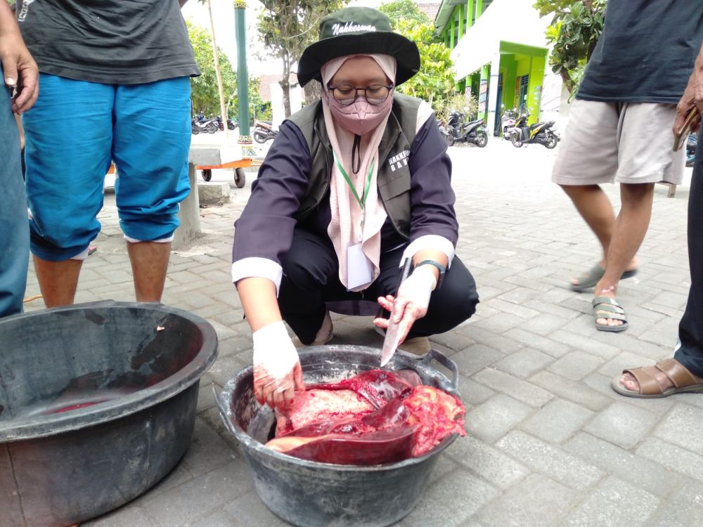 Cegah Penularan Antraks, Bantul Perketat Pemeriksaan Ternak     