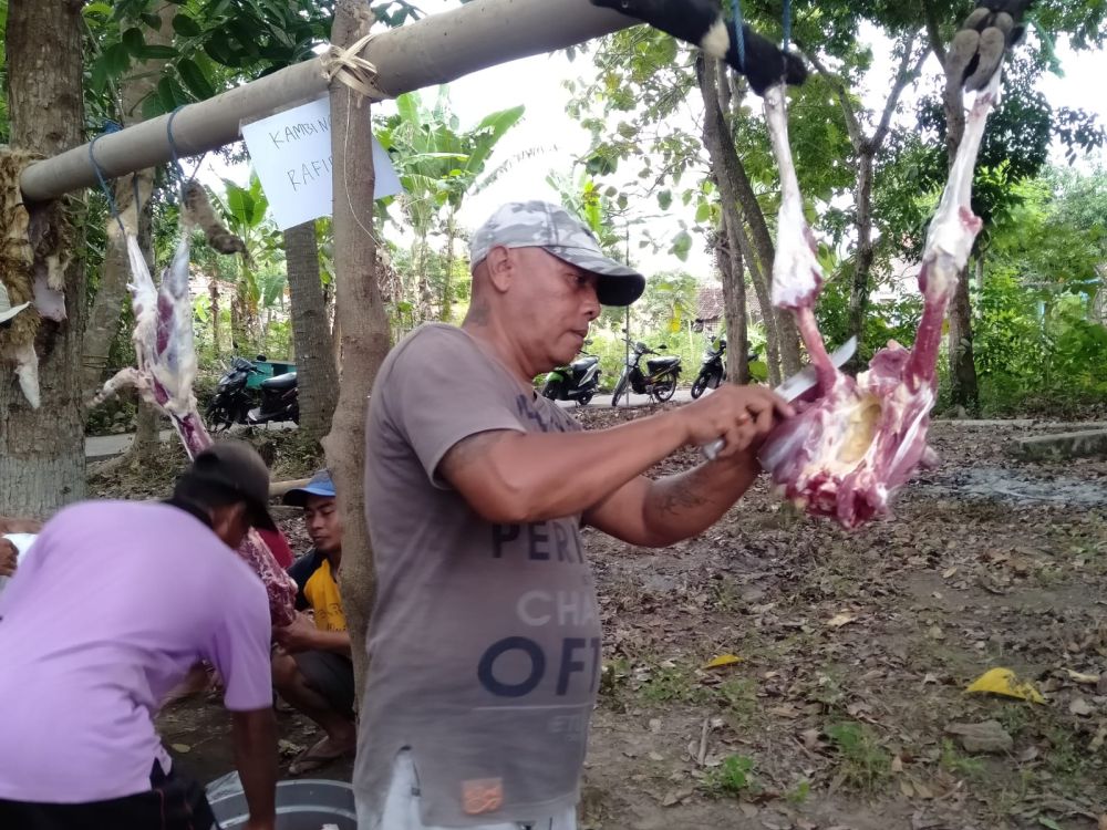 Ratusan Hewan Kurban di Bantul Mengandung Cacing Hati