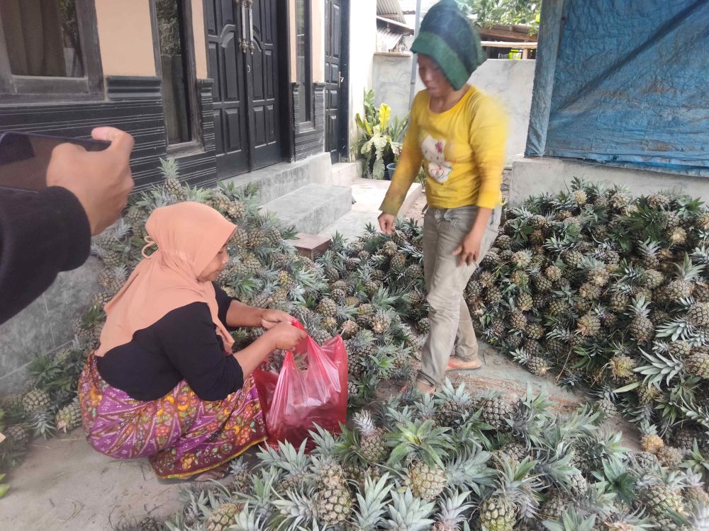 Harga Nanas Merangkak Naik, Pedagang dan Petani Lotim Girang