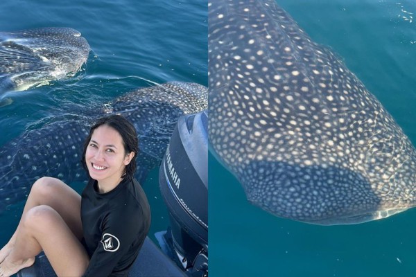 7 Momen Pevita Pearce Liburan ke Sumbawa, Asyik Berenang Bersama Mowi!
