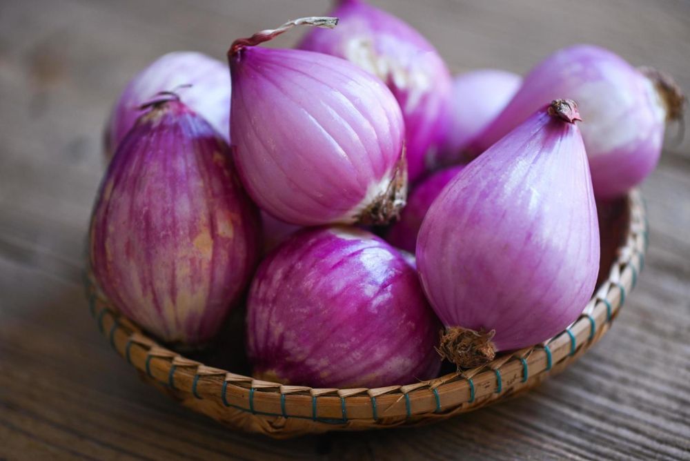 Jenis Bawang dalam Masakan