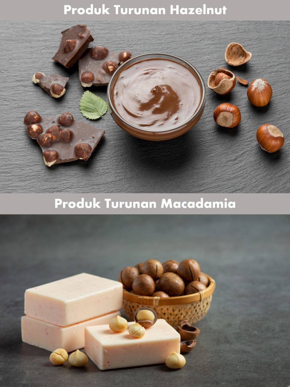 5 Perbedaan Hazelnut Dan Macadamia, Jangan Sampai Tertukar!