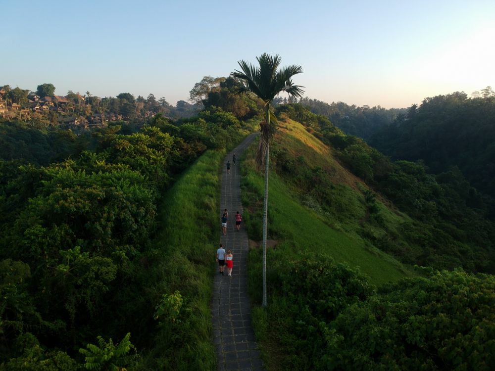 Udara Pagi di Bukit Campuhan Ubud Segar Ya, Rela Bangun Pagi