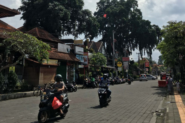 5 Tempat Wisata Sehari di Ubud, Gak Perlu Menginap