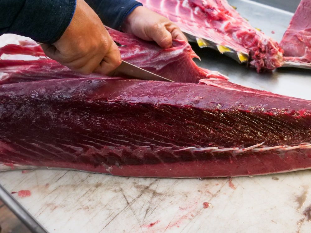 5 Tanda Ikan Tuna yang Sudah Tak Segar, Jangan Dikonsumsi!