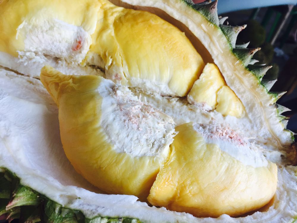 5 Manfaat Durian Jarang Diketahui, Ampuh Redakan Depresi!