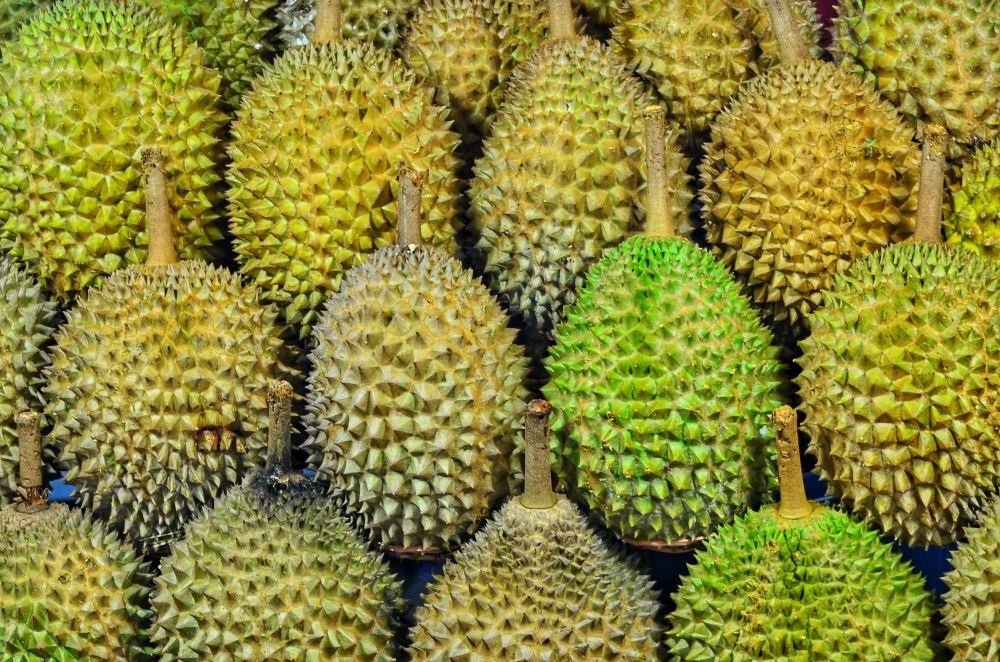 5 Manfaat Durian Jarang Diketahui, Ampuh Redakan Depresi!
