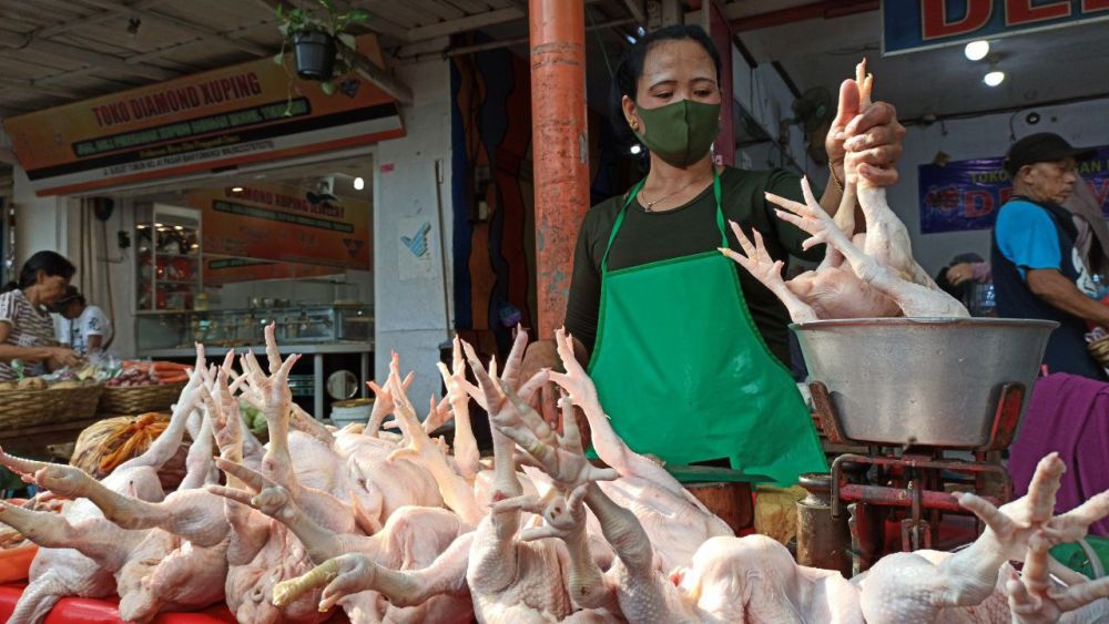 Harga Daging Ayam di Banyuwangi Tembus Rp40 Ribu
