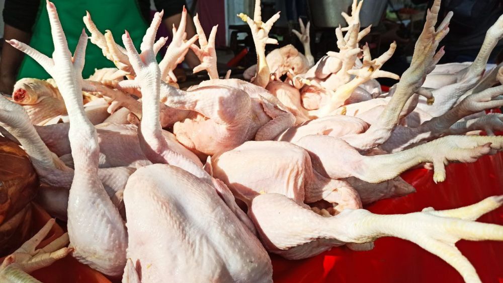 Harga Daging Ayam di Banyuwangi Tembus Rp40 Ribu