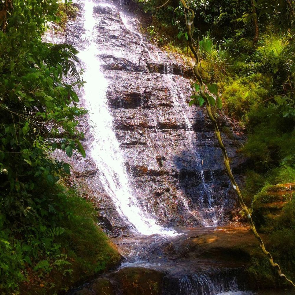 5 Curug Tersembunyi di Kabupaten Kendal yang Terkenal Dengan Mitosnya