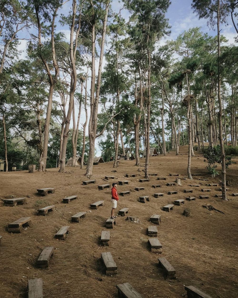 10 Potret Hutan Pinus Rombeng, Wisata Alam Hits di Bantaeng Sulsel