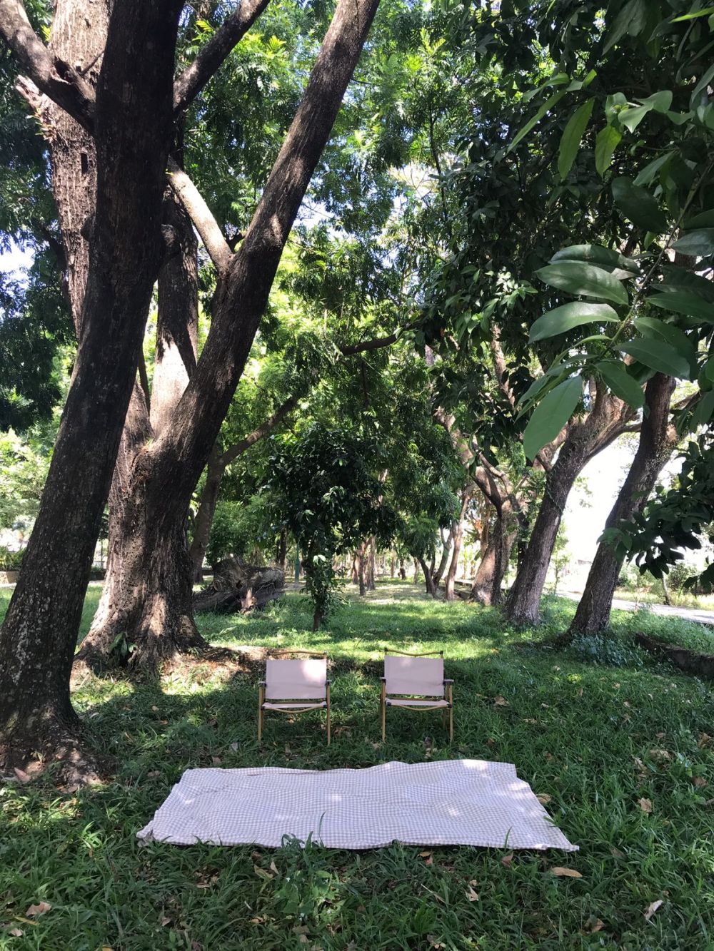 Pemkot Mataram Rancang Penataan Taman Udayana
