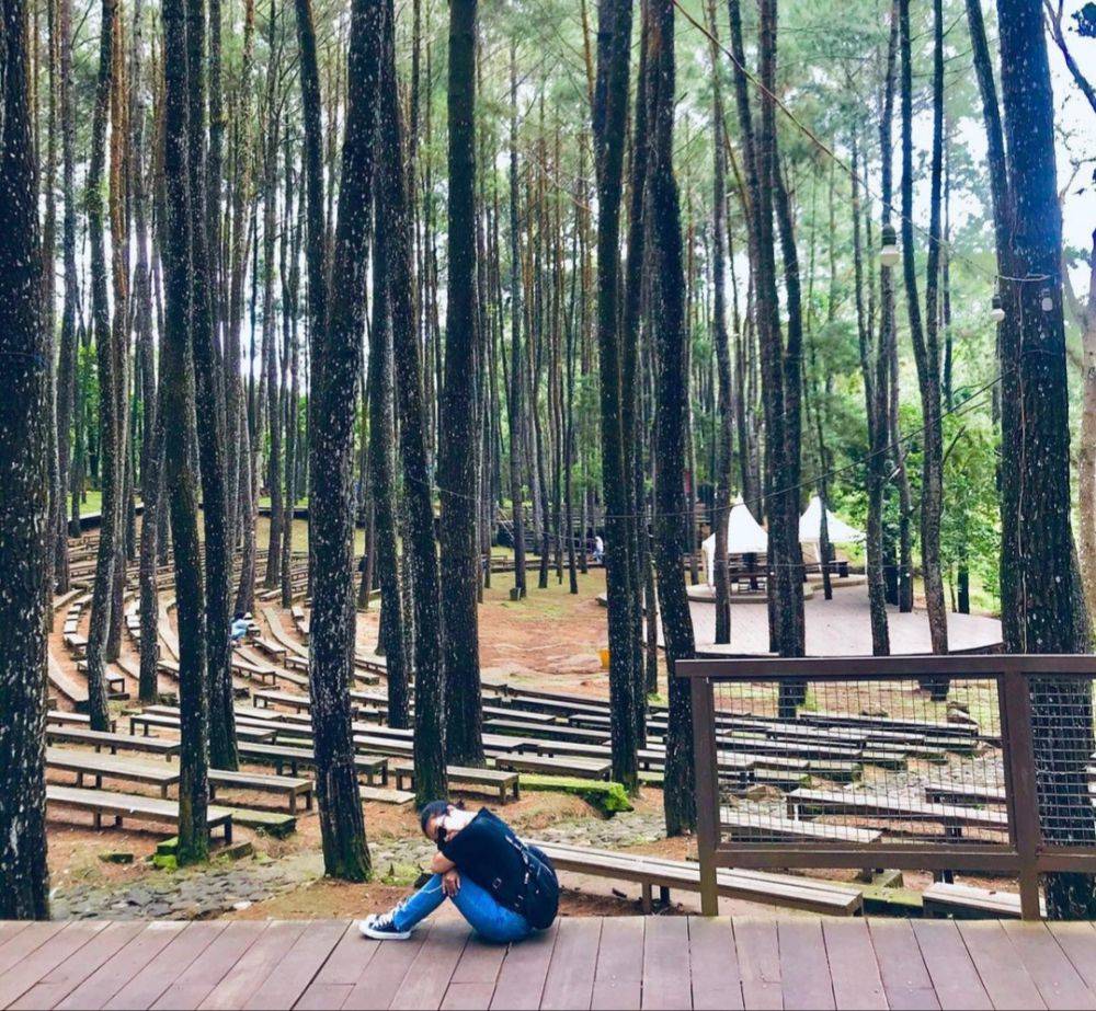 Info Wisata Hutan Pinus Mangunan