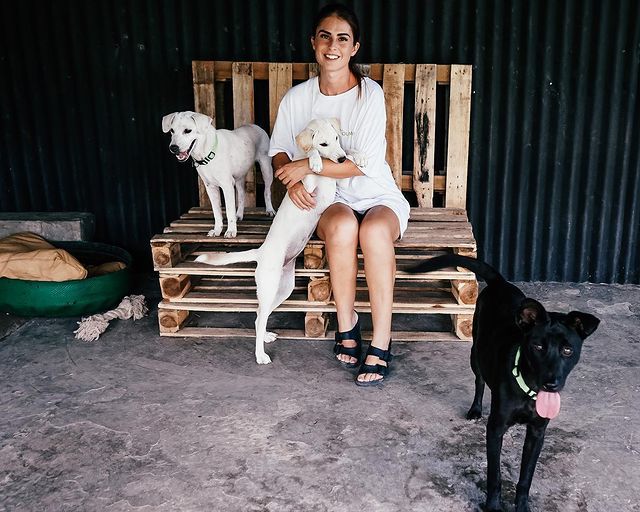 5 Tempat Adopsi Anjing di Bali, Aman dan Tepercaya