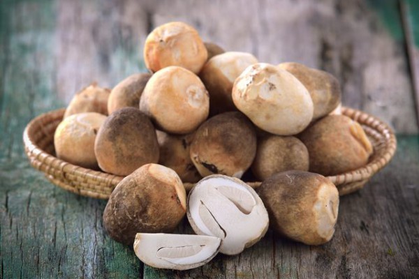 5 Resep Olahan Jamur Merang yang Sederhana dan Enak