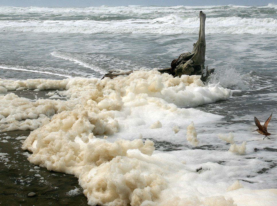 Kemunculan Busa di Pantai Nias, Dampak Perubahan Iklim