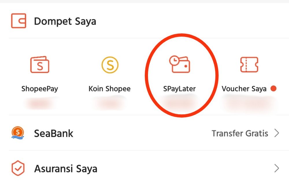 Tips Dapat Cicilan 0 Persen Dengan Shopee PayLater