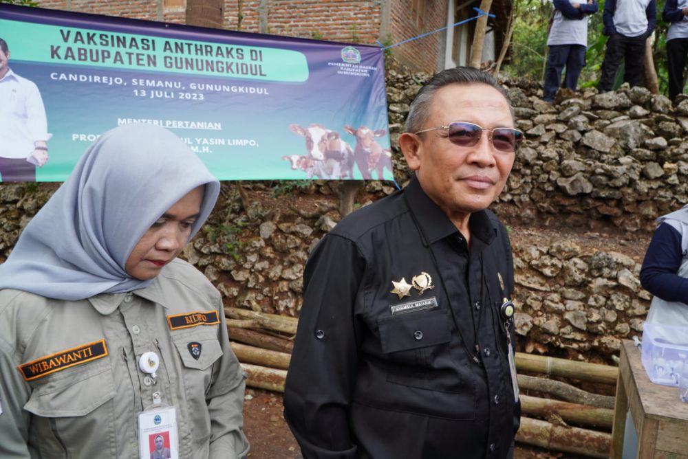 Cegah Penularan Antraks, Ternak Dusun Kropyak Mulai Disuntik Vaksin