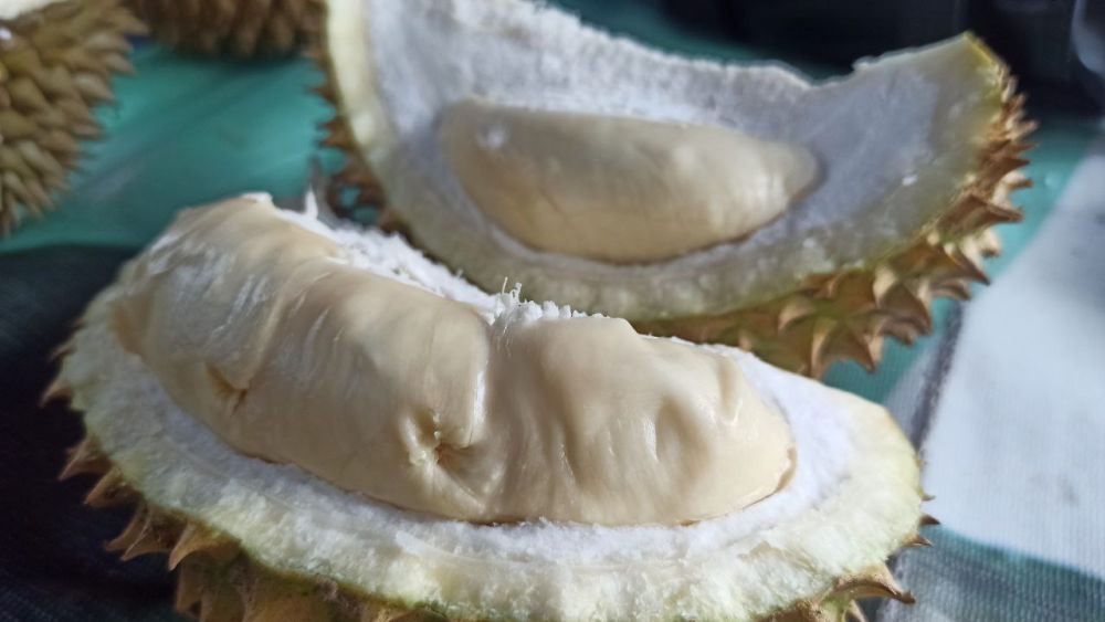 Durian Banyuwangi Panen Raya, Rasanya Tak Semanis Dulu 