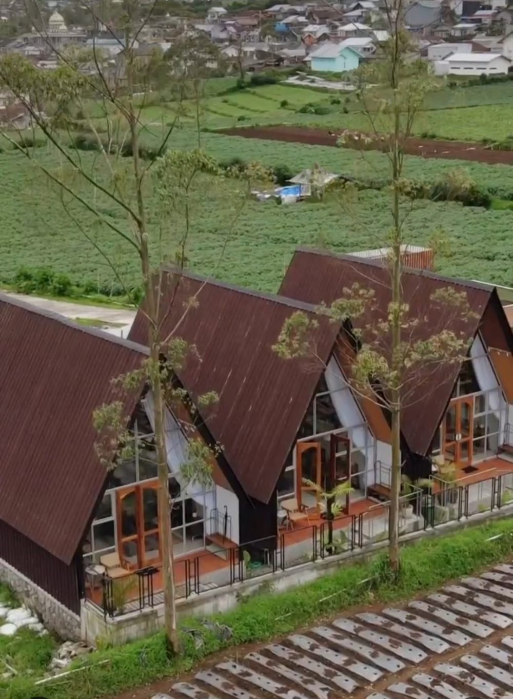 6 Rekomendasi Cabin Hotel Triangle di Dieng, View Epic Seperti Eropa