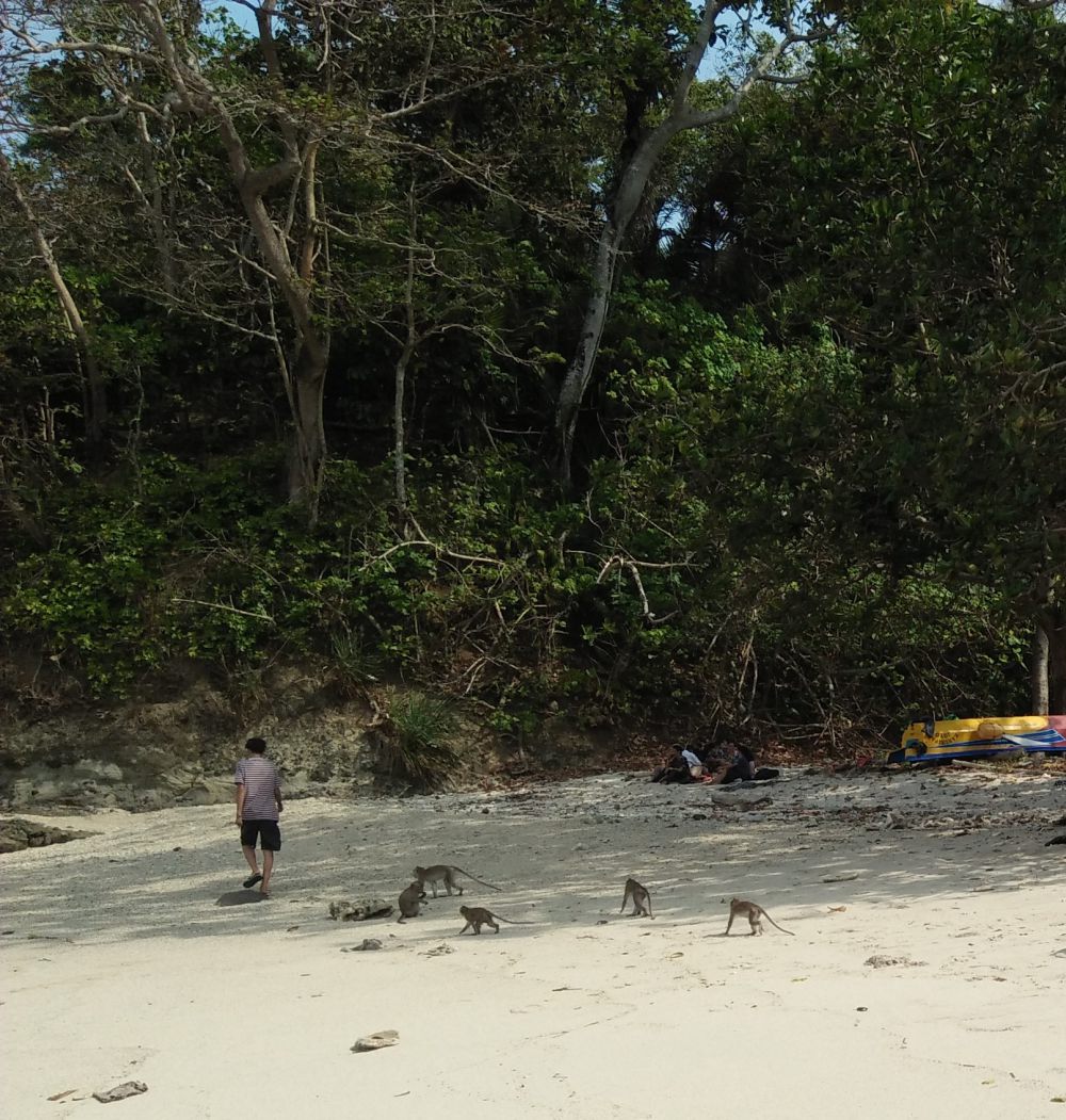 Ragam Petualangan Seru Wisata di Pulau Penjara Nusakambangan