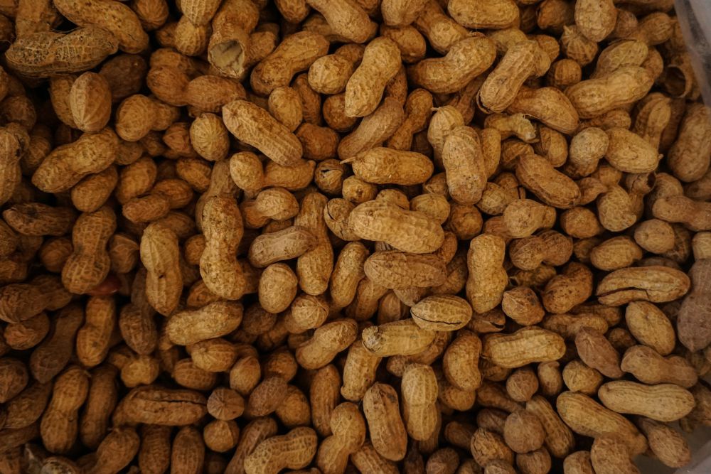5 Manfaat Positif Kacang Tanah, Cocok untuk Menu Diet!