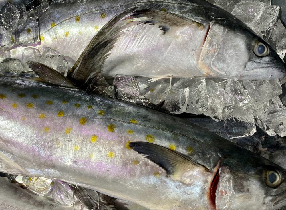5 Manfaat Ikan Tuna untuk Kesehatan Tubuh, Kaya Omega-3!