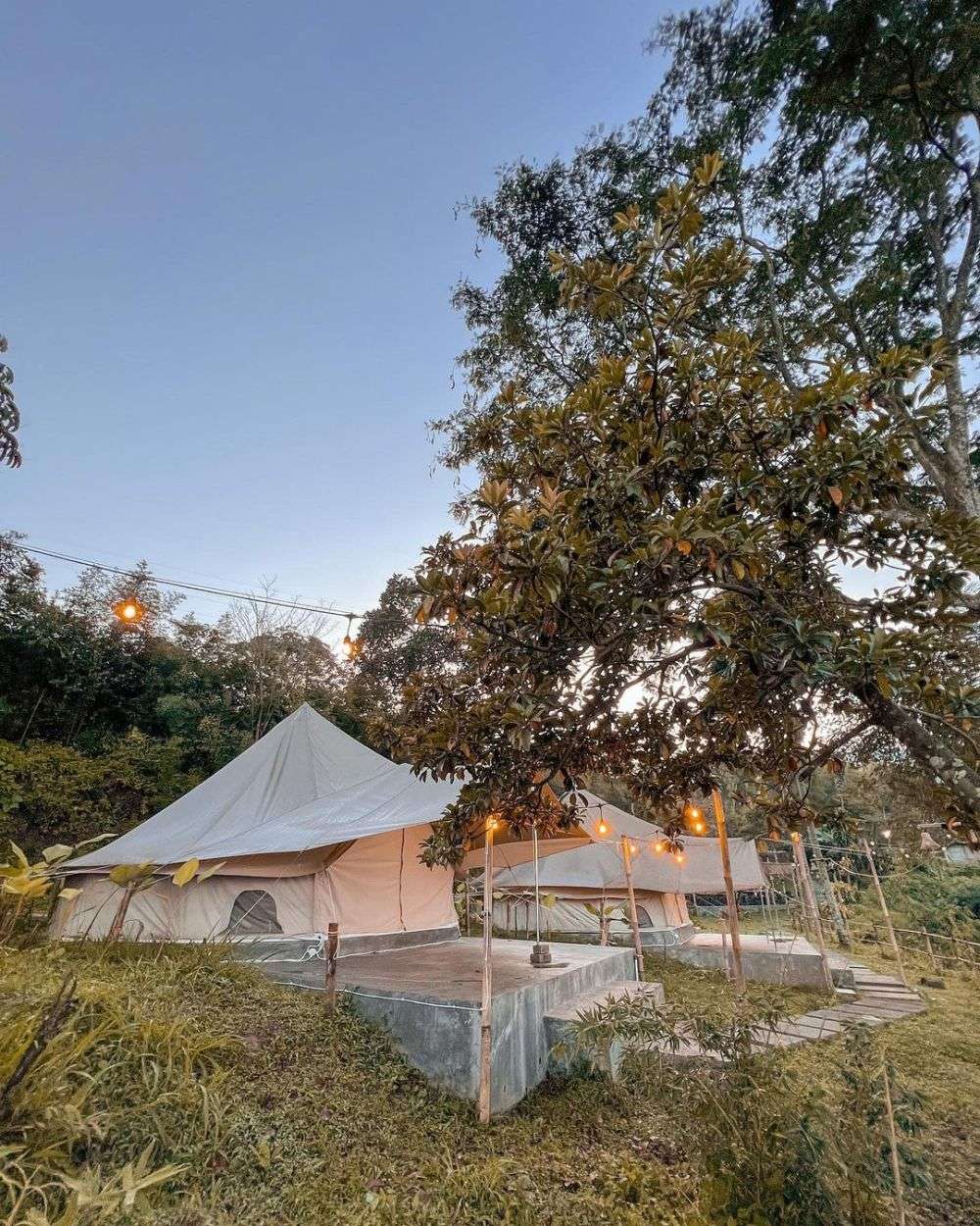 Tempat Glamping Di Puncak Bogor Paling Recommended