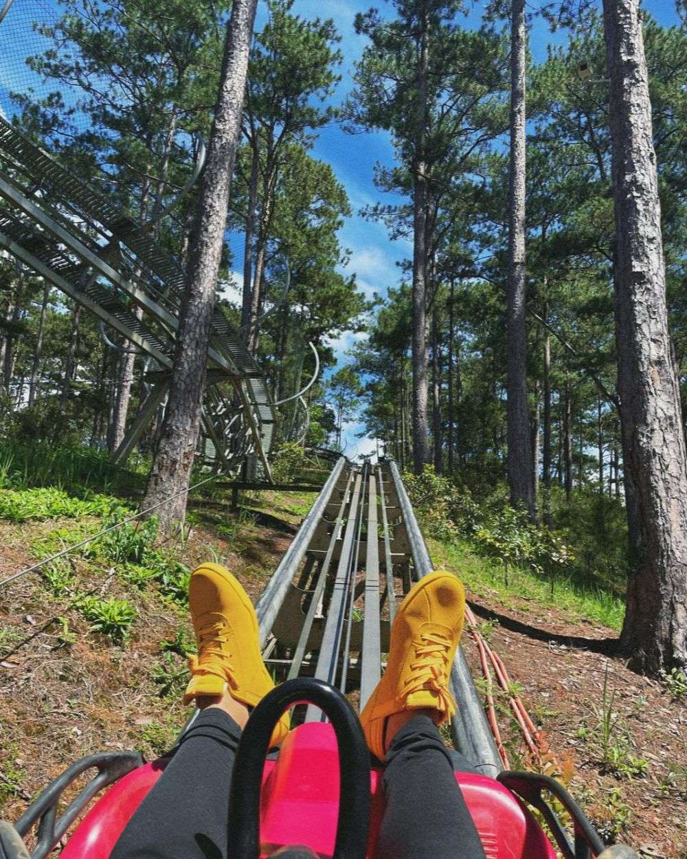 Трасса Alpine Coaster