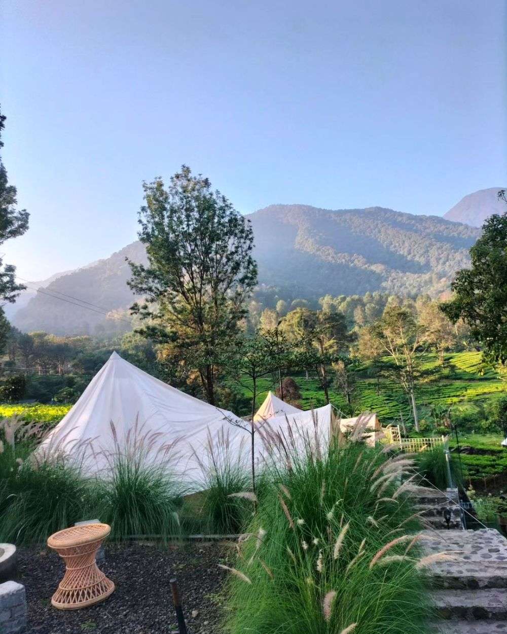 Tempat Glamping Di Puncak Bogor Paling Recommended