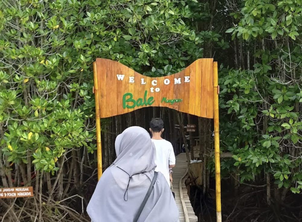 7 Rekomendasi Wisata Mangrove di Lombok, Bisa Dijelajahi Pakai Kano