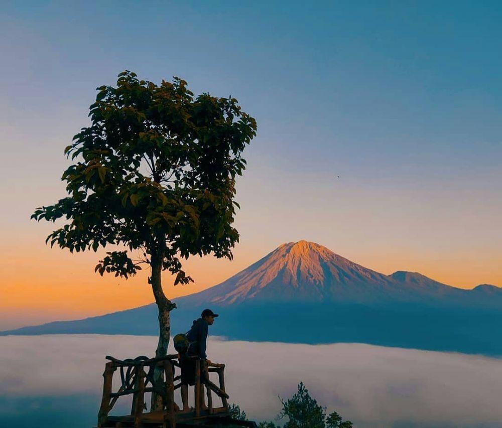 5 Tempat Camping di Lumajang, Ada di Dataran Tinggi 